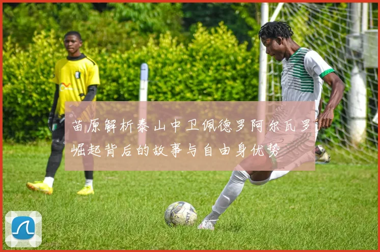 苗原解析泰山中卫佩德罗阿尔瓦罗崛起背后的故事与自由身优势