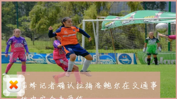 黄蜂记者确认拉梅洛鲍尔在交通事故中安全未受伤