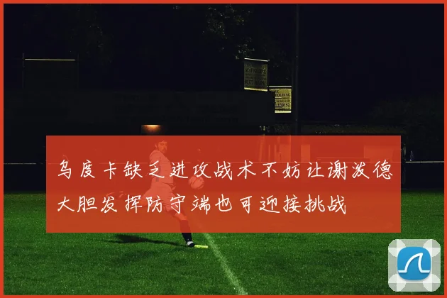 乌度卡缺乏进攻战术不妨让谢泼德大胆发挥防守端也可迎接挑战
