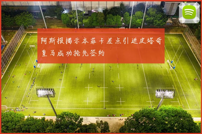 阿斯报揭示本菲卡差点引进皮塔奇皇马成功抢先签约